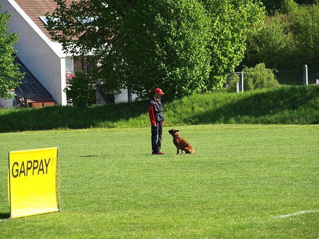 www.atibox.net * www.euroboxer.eu * www.boxergenealogia.eu